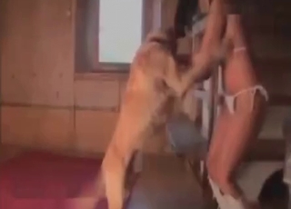 Awesome wet snatch fucked by huge stallion
