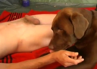 Hardcore amateur dog sex action with male